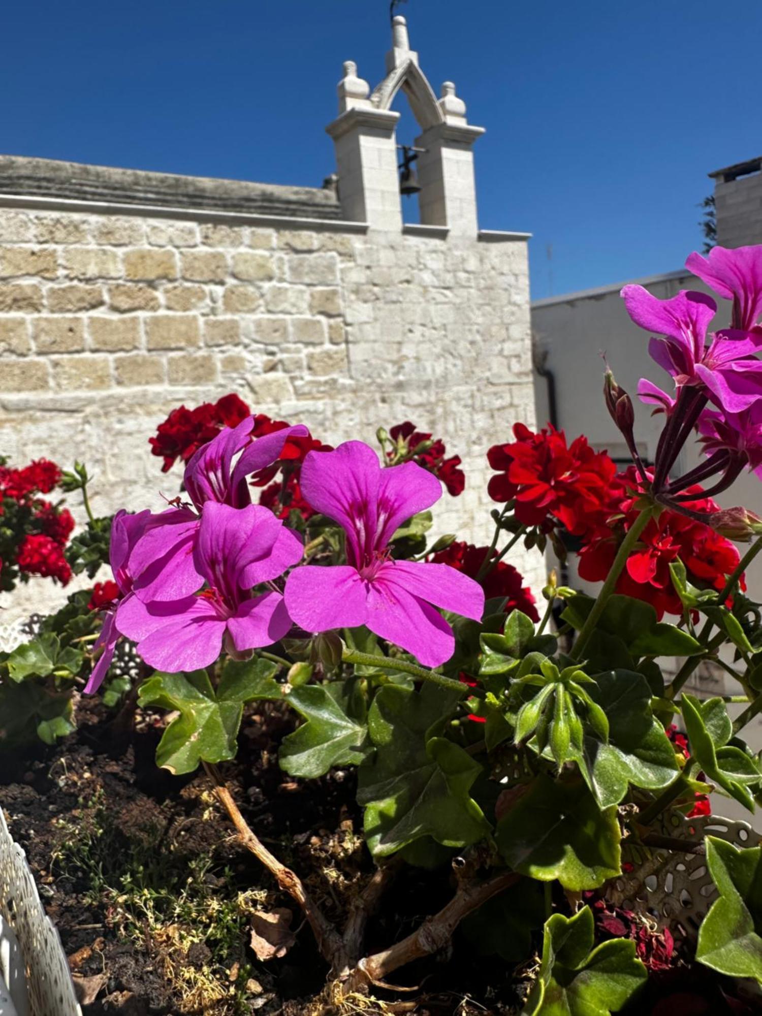 B&B Sigo Trani Exterior photo